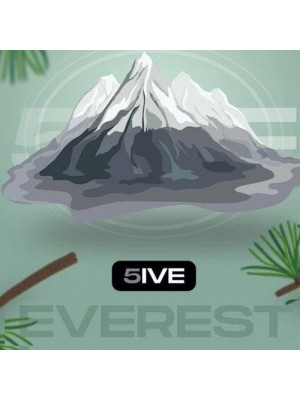 Табак 5IVE Medium - Everest 100g (Эвкалипт Мята Хвоя) 