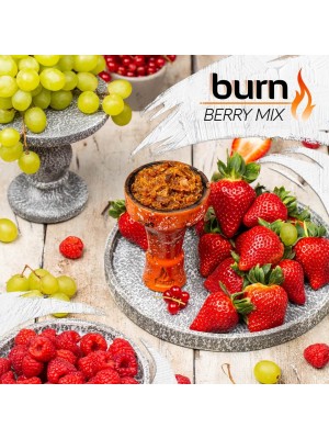 Табак Burn BERRY MIX (100g)