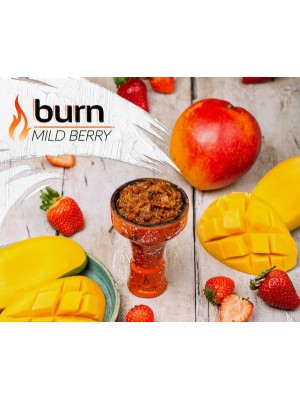 Табак Burn MILD BERRY (100g)