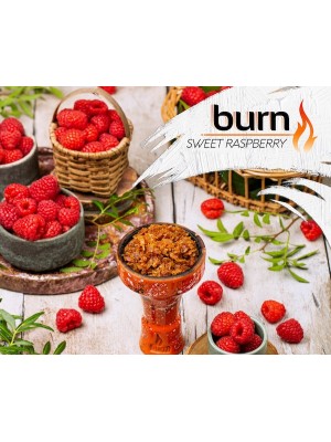 Табак Burn SWEET RASPBERRY (100g) Табак Burn SWEET RASPBERRY (100g)