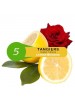 Табак Tangiers Lemon Blossom 5 (250g) Табак Tangiers Lemon Blossom 5 (250g)