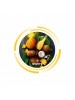 Бестабачная смесь Swipe -Pina Colada (250g) Бестабачная смесь Swipe -Pina Colada (250g)