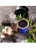 Табак 5IVE Medium - Iceberg 100g (Лютый Лед) 