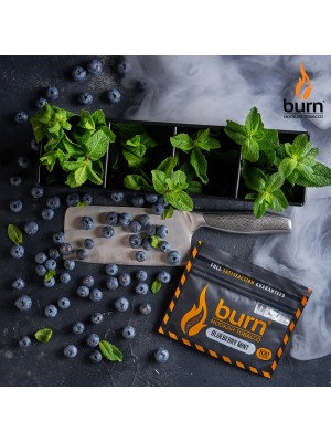 Табак Burn BLUEBERRY MINT (100 g) Табак Burn BLUEBERRY MINT (100 g)