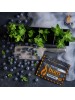 Табак Burn BLUEBERRY MINT (100 g) Табак Burn BLUEBERRY MINT (100 g)