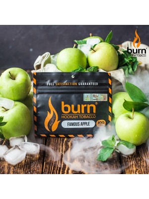 Табак Burn FAMOUS APPLE (100 g)