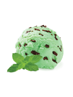 Табак Fumari MINT CHOCOLATE CHILL (100g) Табак Fumari MINT CHOCOLATE CHILL (100g)