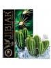 Табак Jibiar - Ice Cactus (50g) Табак Jibiar - Ice Cactus (50g)