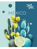 Тютюн WhiteSmok Mexico (Кактус Лайм) 50g Тютюн WhiteSmok Mexico (Кактус Лайм) 50g