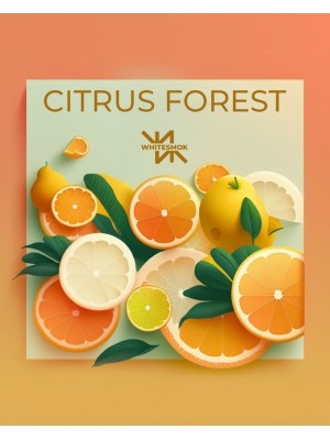 Тютюн WhiteSmok Citrus Forest (Цитрусові) 50g Тютюн WhiteSmok Citrus Forest (Цитрусові) 50g
