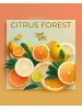 Тютюн WhiteSmok Citrus Forest (Цитрусові) 50g Тютюн WhiteSmok Citrus Forest (Цитрусові) 50g