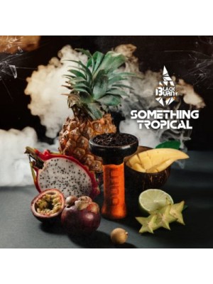 Табак Black Burn SOMETHING TROPICAL (100 g)