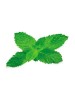 Табак FUMARI MINT (100g)