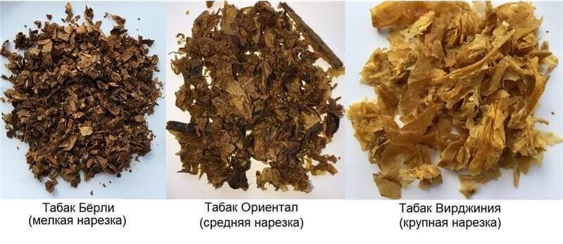 виды табака